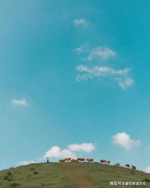 网络平台视讯数据未传回不能出款怎样避免(图)