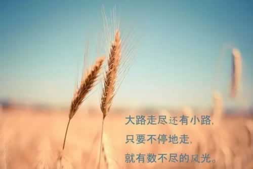 遇到平台被黑出款端口维护出款不 处理思路（图）